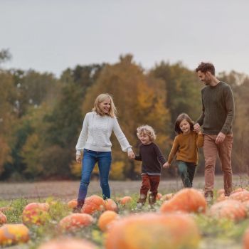 A family of four walking through a pumpkin patch while holding hands
